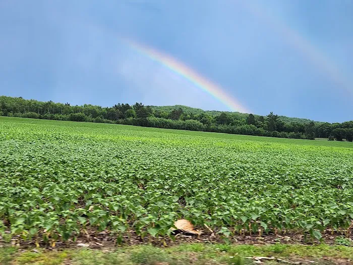 Bay Park Resort & Campground Picture 5