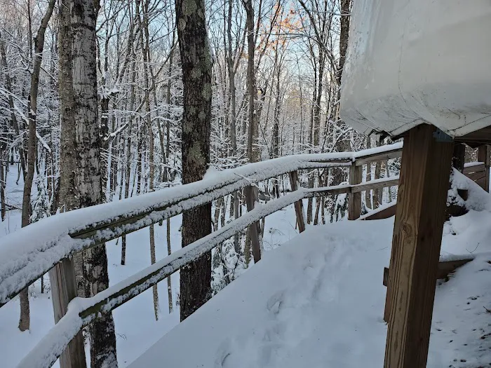 Little Union River Yurt Picture 6