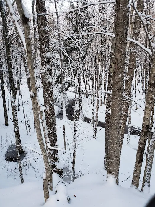 Little Union River Yurt Picture 8