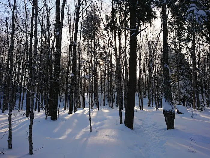 Union River Cabin Picture 8