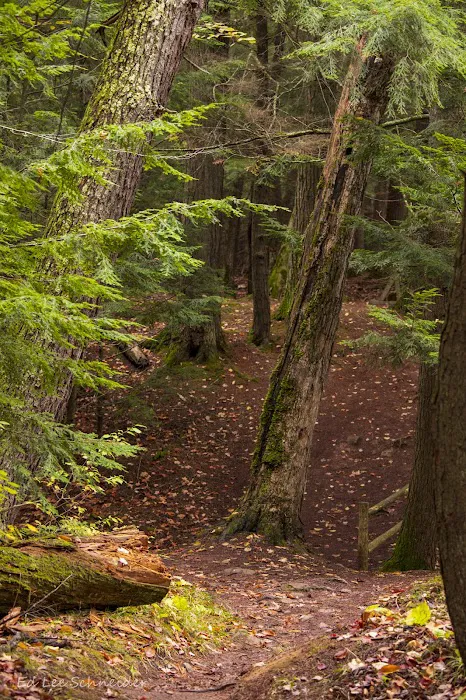 Union River Outpost Campground Picture 8