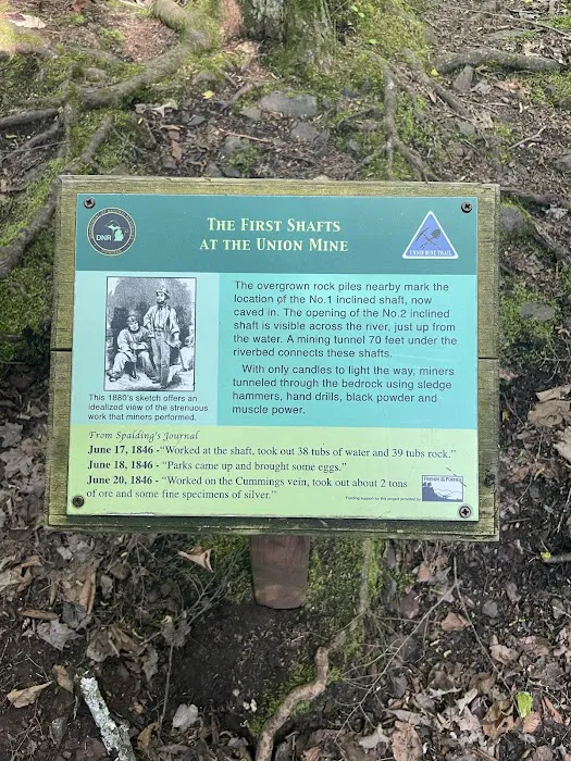 Union River Outpost Campground Picture 10