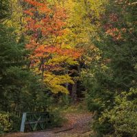 Union River Outpost Campground ico