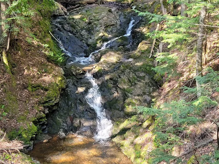 Union River Outpost Campground Picture 4