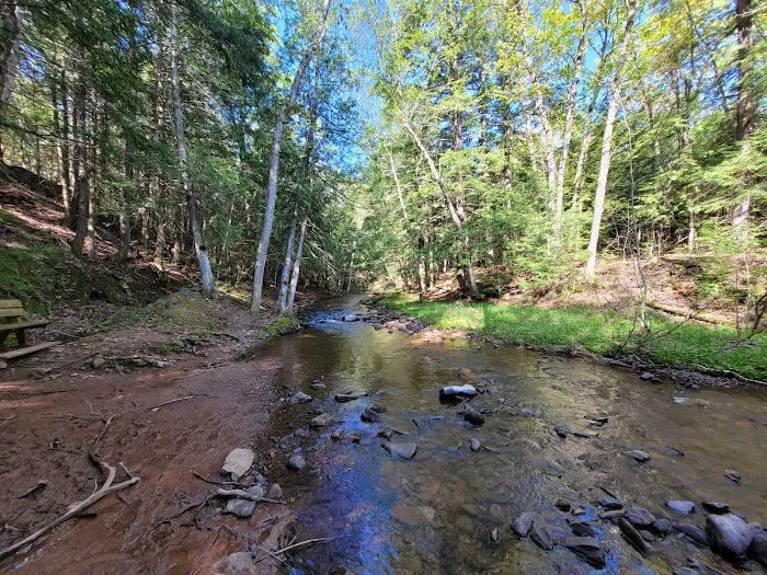 Union River Outpost Campground Picture 7