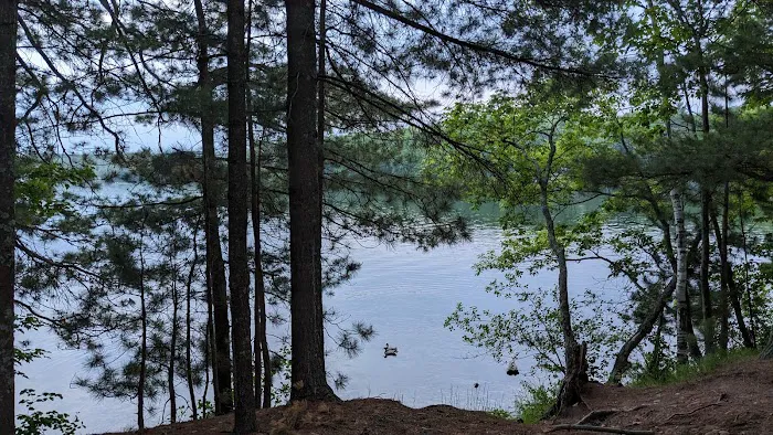 Twin Bear Campground Picture 2