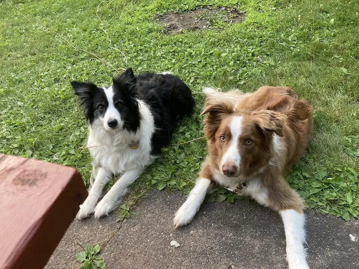 Wildwood Campground Picture 7