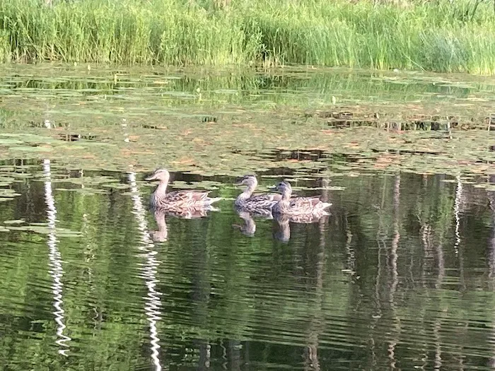 Wildwood Campground Picture 5