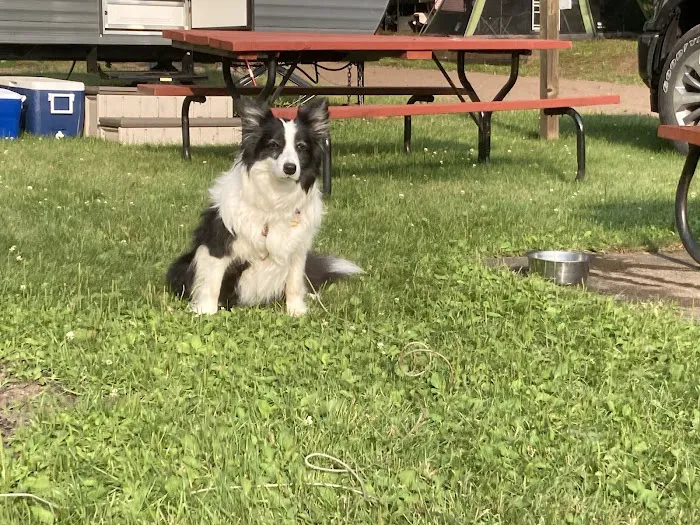 Wildwood Campground Picture 3