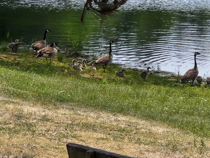 Moon Lake Park Picture 5