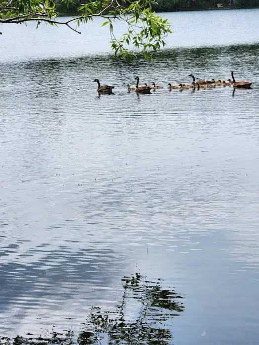 Moon Lake Park Picture 10