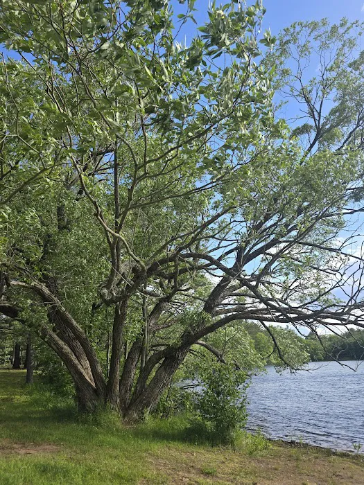 Moon Lake Park Picture 1