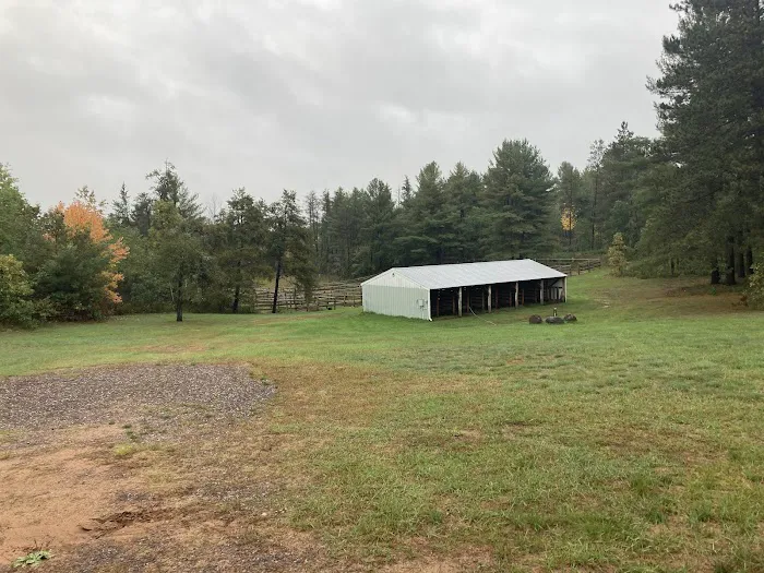 Horse Stables, The Bird Sanctuary Picture 1