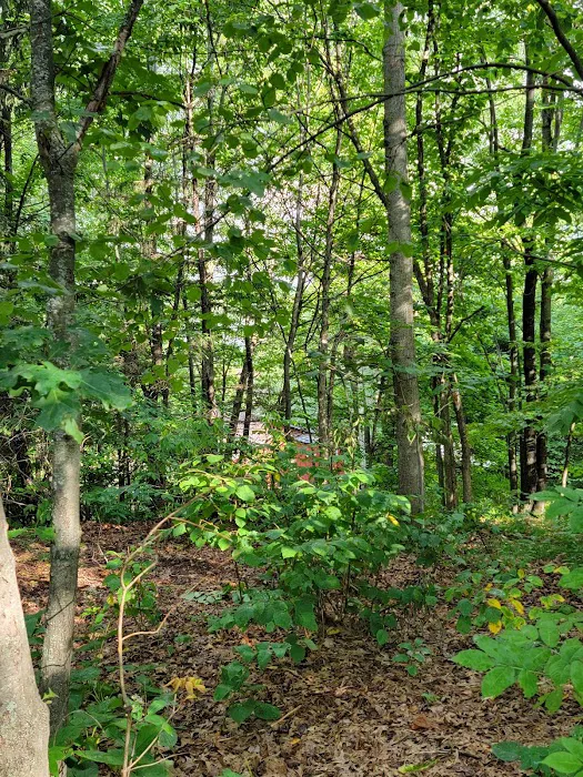 Lucius Woods County Park Picture 7