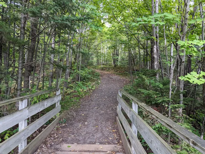 Lucius Woods County Park Picture 9