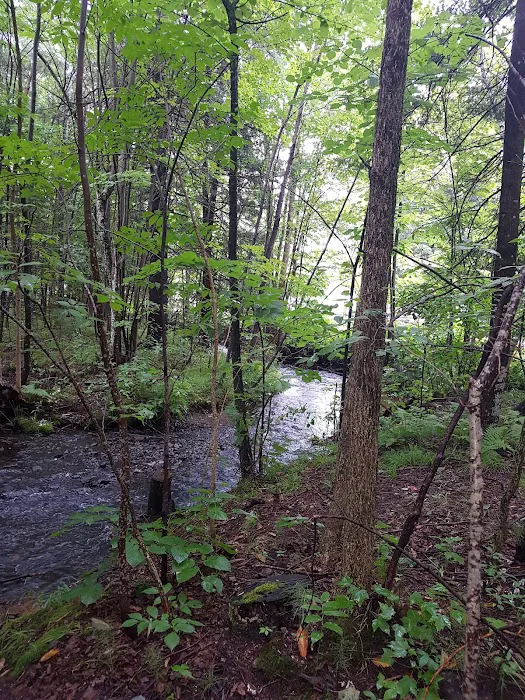 Lucius Woods County Park & Campground Picture 9