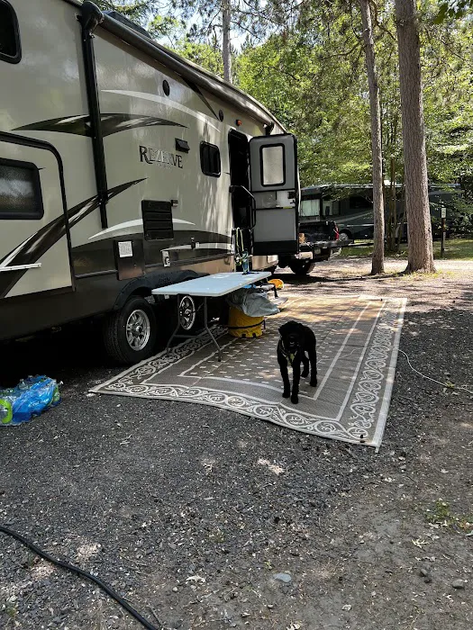 Lucius Woods County Park & Campground Picture 5