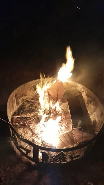 Buffalo Bay Campground/Marina Picture 7