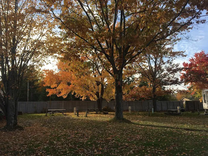 Anchor Inn Campground & Cabins Picture 9