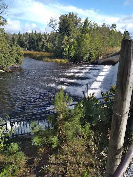 Gordon Flowage Campground Picture 2