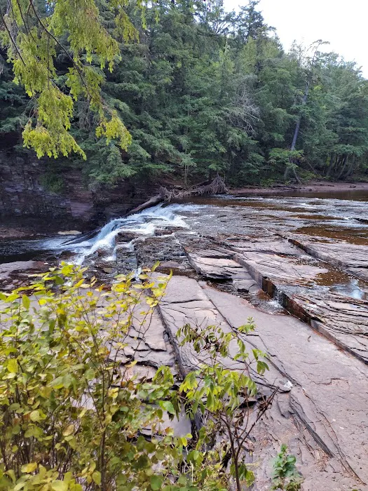 Union Bay Campground Picture 5