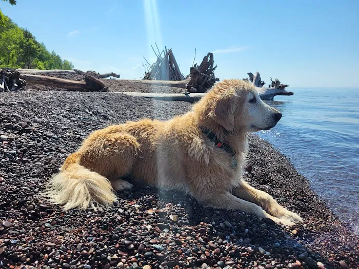 Union Bay Campground Picture 9