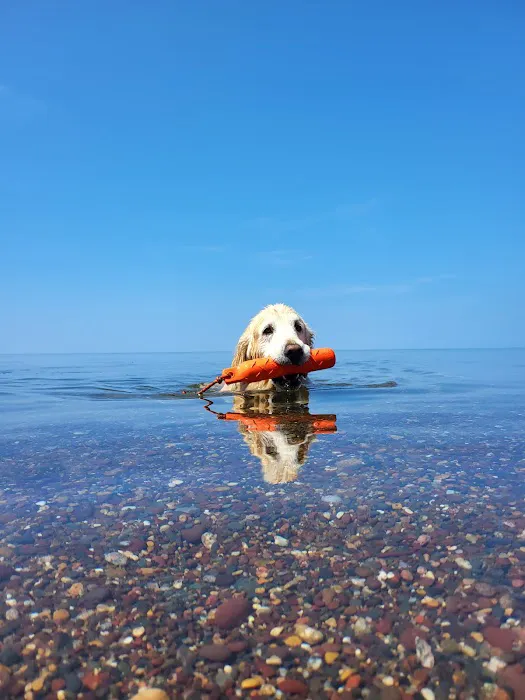 Union Bay Campground Picture 8