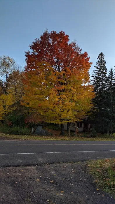 The Porkies Union Bay Picture 10