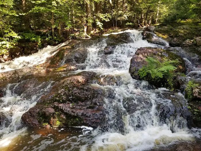 The Porkies Union Bay Picture 8