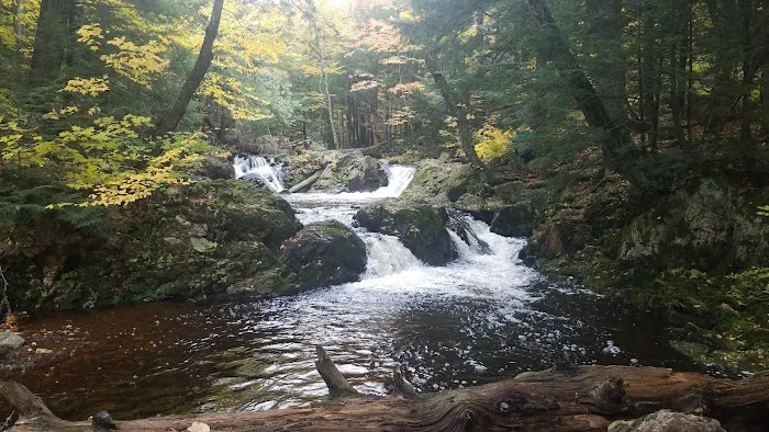 The Porkies Union Bay Picture 7