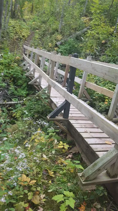 The Porkies Union Bay Picture 9