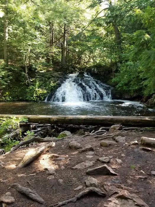 The Porkies Union Bay Picture 3