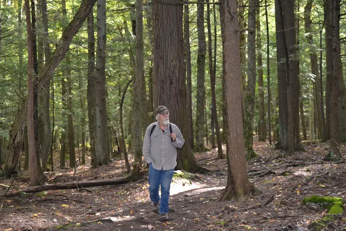 Union River 'Big Bear' Campground Picture 8