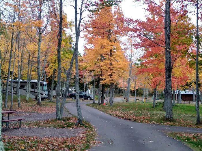 Union River 'Big Bear' Campground Picture 5