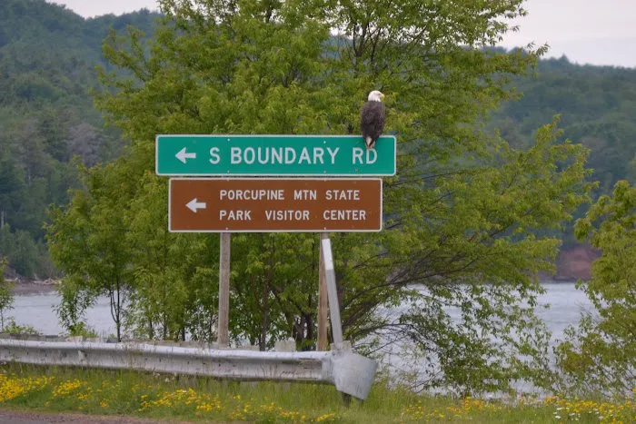 Union River 'Big Bear' Campground Picture 6