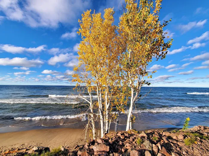 Porcupine Mountains Gitchee Gumee Cabin Picture 4