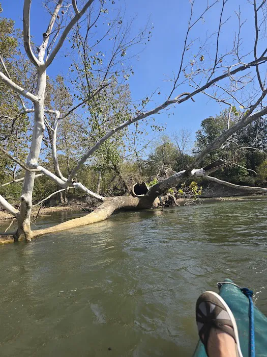 Mother Nature's Riverfront Retreat Picture 3