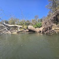 Mother Nature's Riverfront Retreat ico