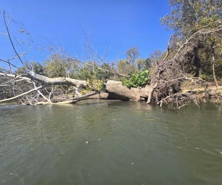 Mother Nature's Riverfront Retreat