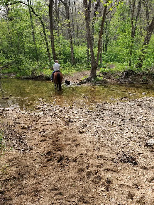 Lead Mine Conservation Area Picture 8