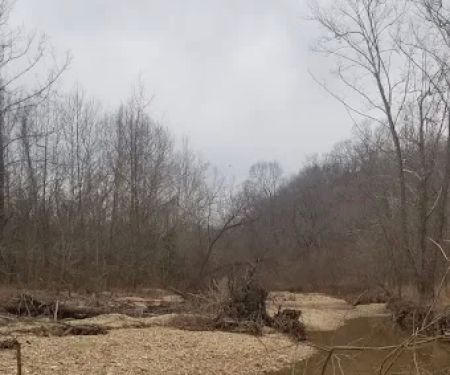 Lead Mine Conservation Area