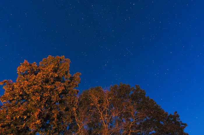 Persimmon Grove Retreat and Camp Picture 3