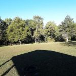 Persimmon Grove Retreat and Camp