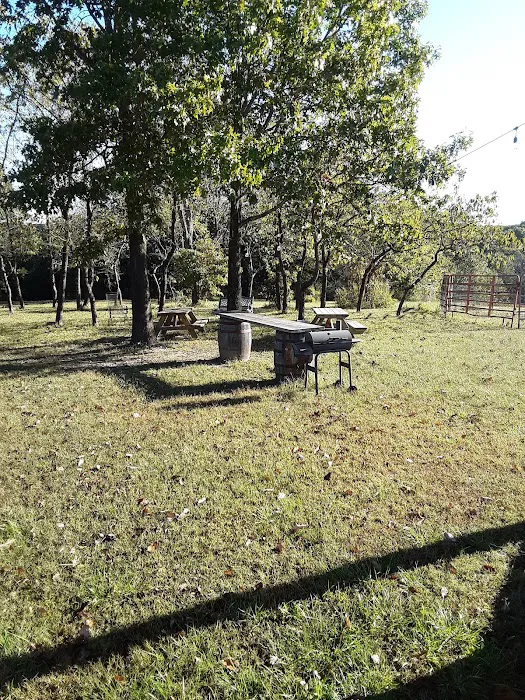 Persimmon Grove Retreat and Camp Picture 2