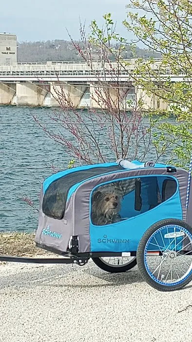 Shady Oaks cabins Picture 3