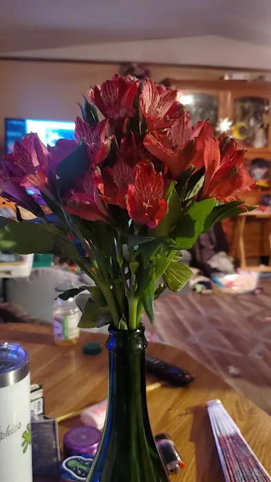 Shady Oaks cabins Picture 4