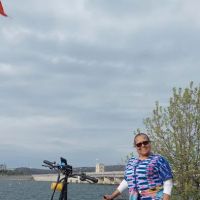 Shady Oaks cabins ico