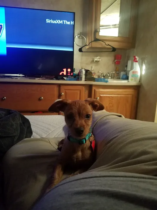 Ozark Country Campground Picture 10