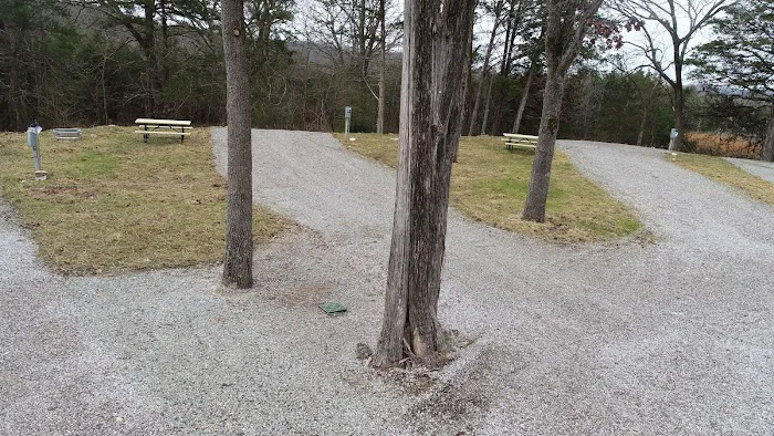 Oasis RV park Picture 3