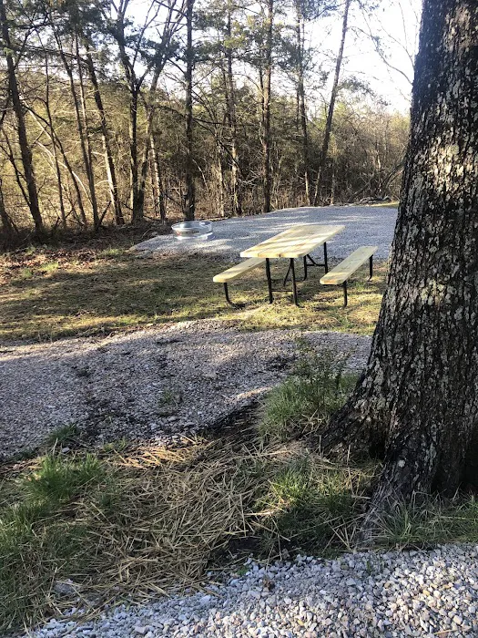 Oasis RV park Picture 6